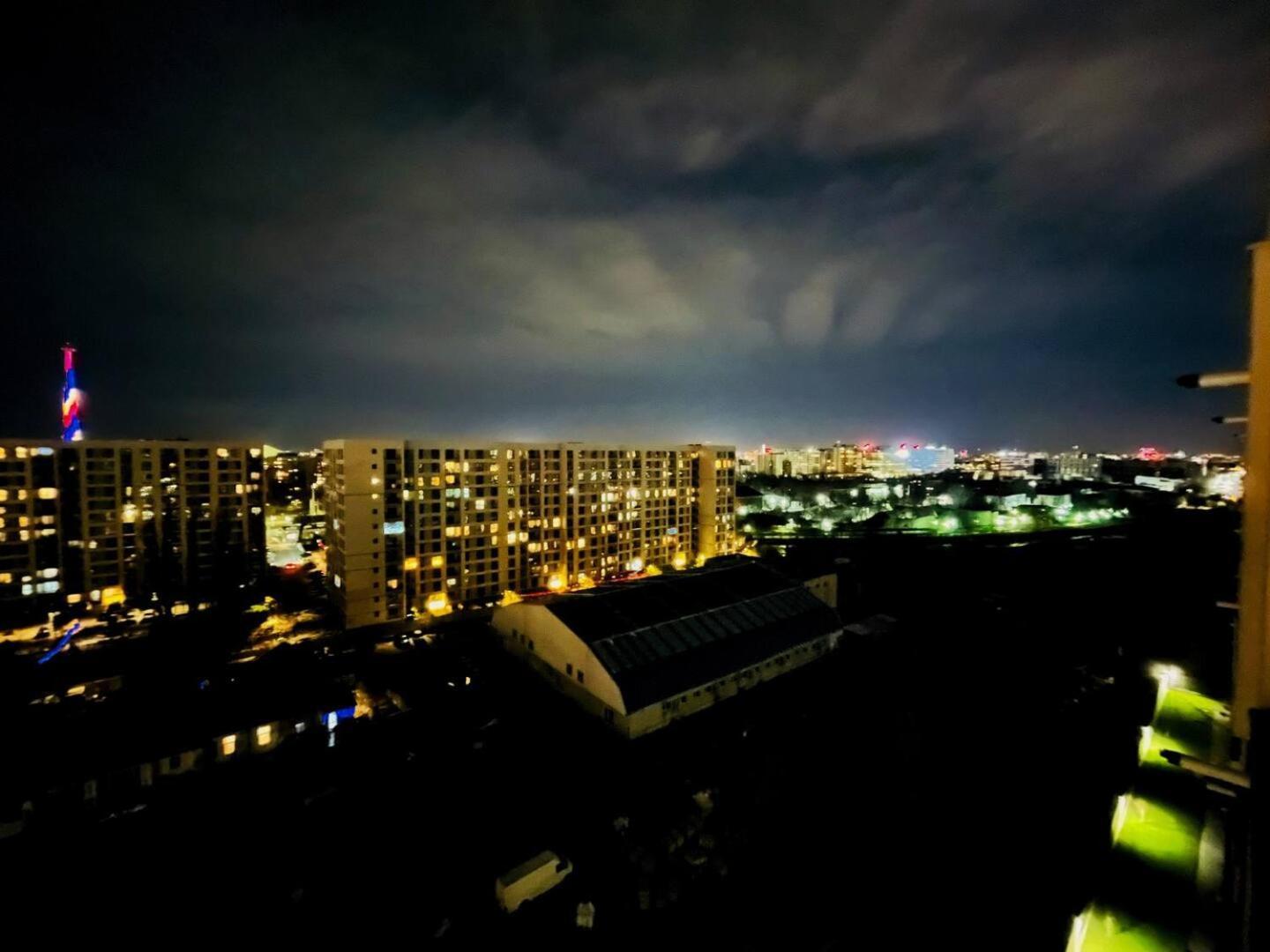 Botanic Nest Panoramic *