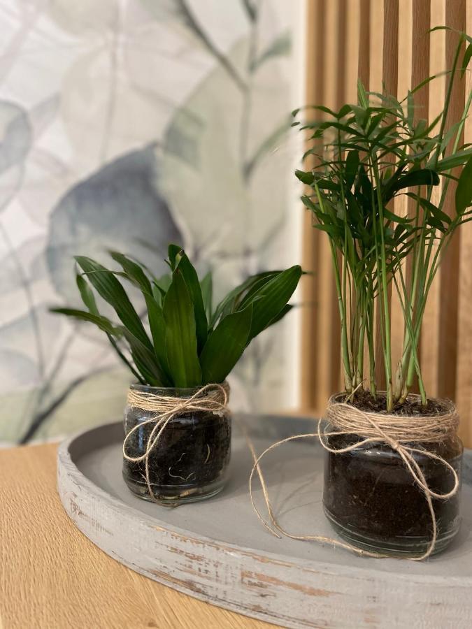 Botanic Nest Panoramic *